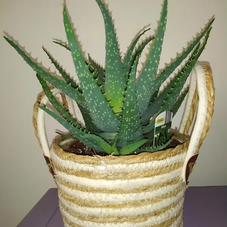 Neuf Climatisé Proche D'agde Apartamento *